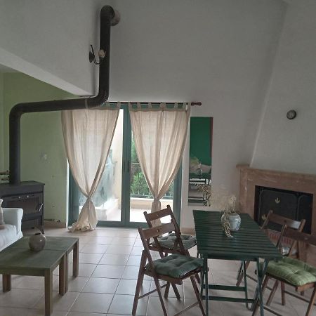 The White Rabbit Guesthouse Eco-Lodge "Cosy Apartment" Psakoudia Ngoại thất bức ảnh