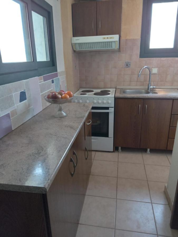 The White Rabbit Guesthouse Eco-Lodge "Cosy Apartment" Psakoudia Ngoại thất bức ảnh