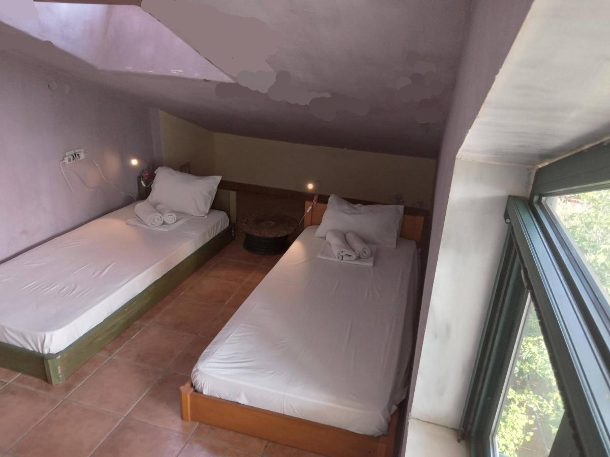 The White Rabbit Guesthouse Eco-Lodge "Cosy Apartment" Psakoudia Ngoại thất bức ảnh