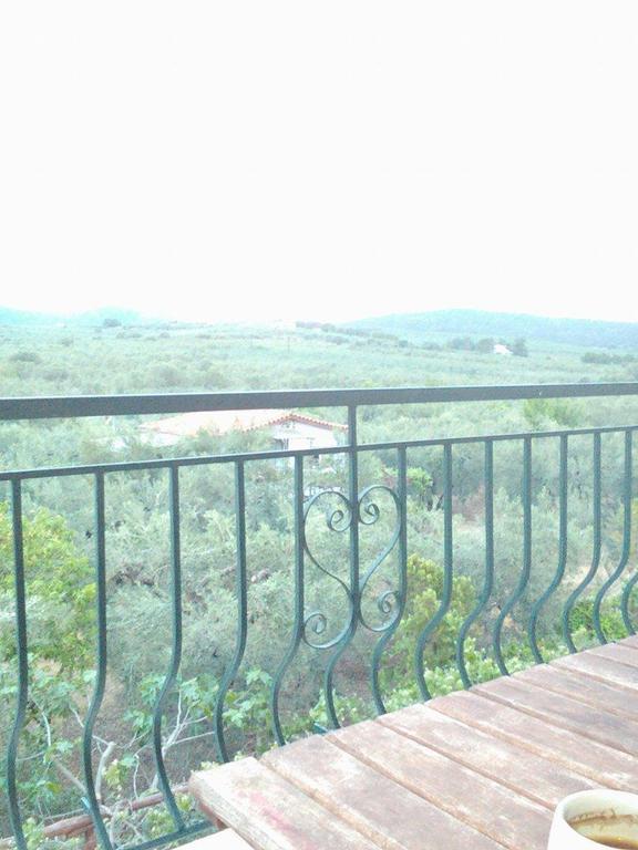 The White Rabbit Guesthouse Eco-Lodge "Cosy Apartment" Psakoudia Ngoại thất bức ảnh